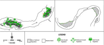 The conceptual design of a stream island index for physical habitat complexity assessment in stream restoration projects